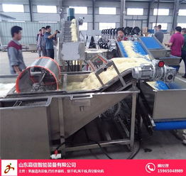 山東嘉信鳳尾菇清洗機 高效清洗解決方案與產品展示